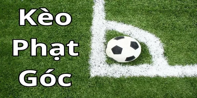Bạn nên xem xét số lượng phạt góc, thể lực và phong độ của các đội bóng