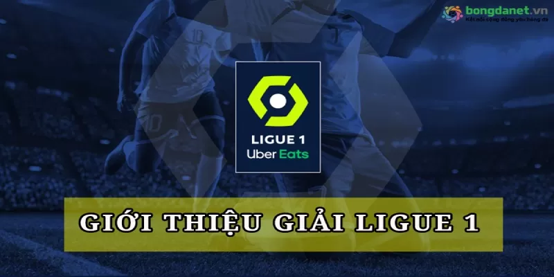 Soi kèo Ligue 1 là hoạt động nghiên cứu