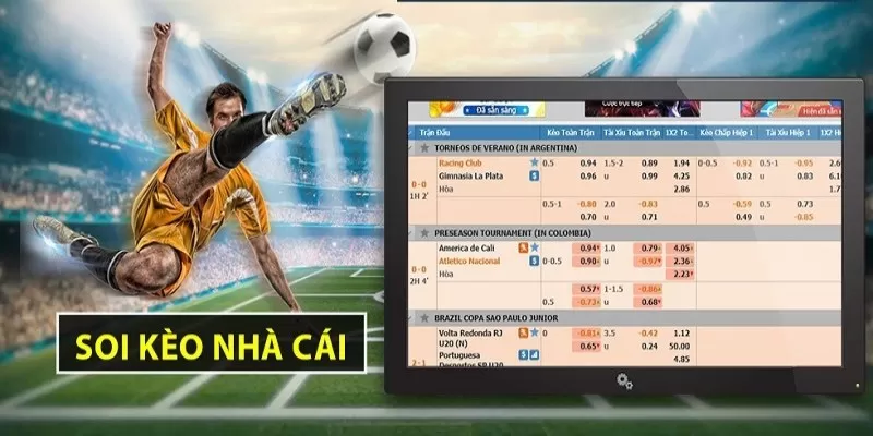 s666n phân tích và đánh giá một cách khách quan