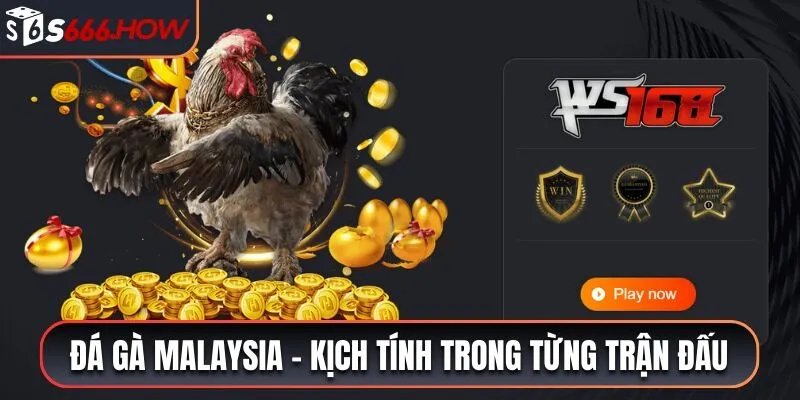 đá gà malaysia